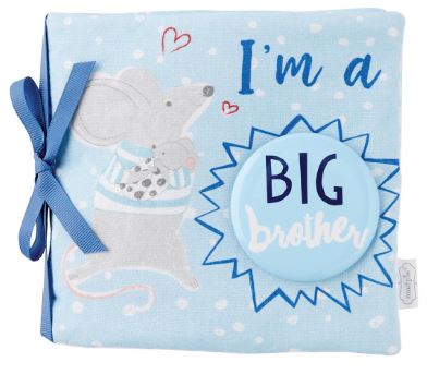 Big Brother Book &amp; Pin Set Mud Pie