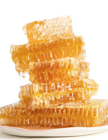 Honey Comb Mini Savannah Bee