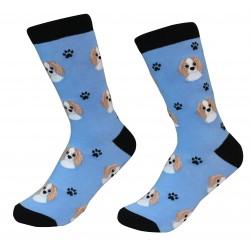 Cavalier King Charles Socks - Treehouse Gift & Home